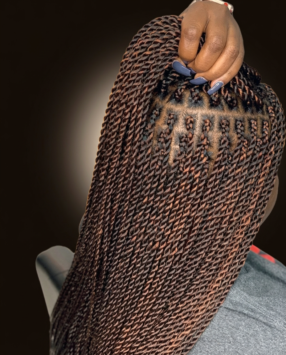 REGULAR SENEGALES/PASSION TWIST by Next Level Braids